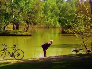 Harika Doğa Resimleri - Doğa Manzaraları