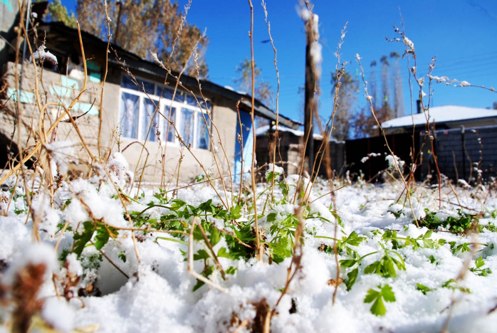 Ağrı Şehir Merkezi , Güzel Kış Resimleri 3