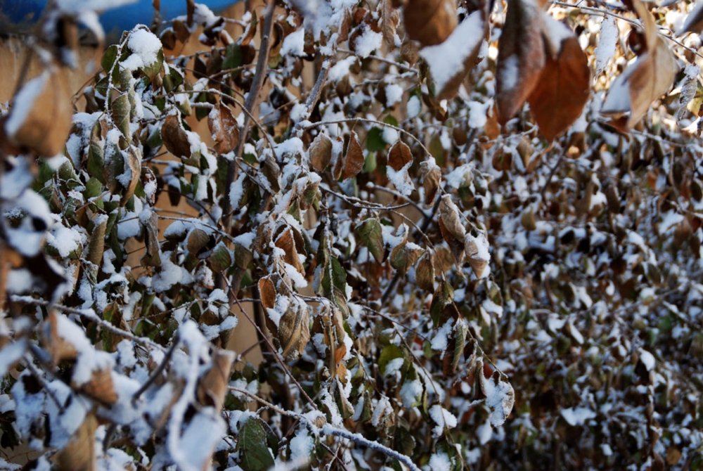 Ağrı Şehir Merkezi , Güzel Kış Resimleri 6