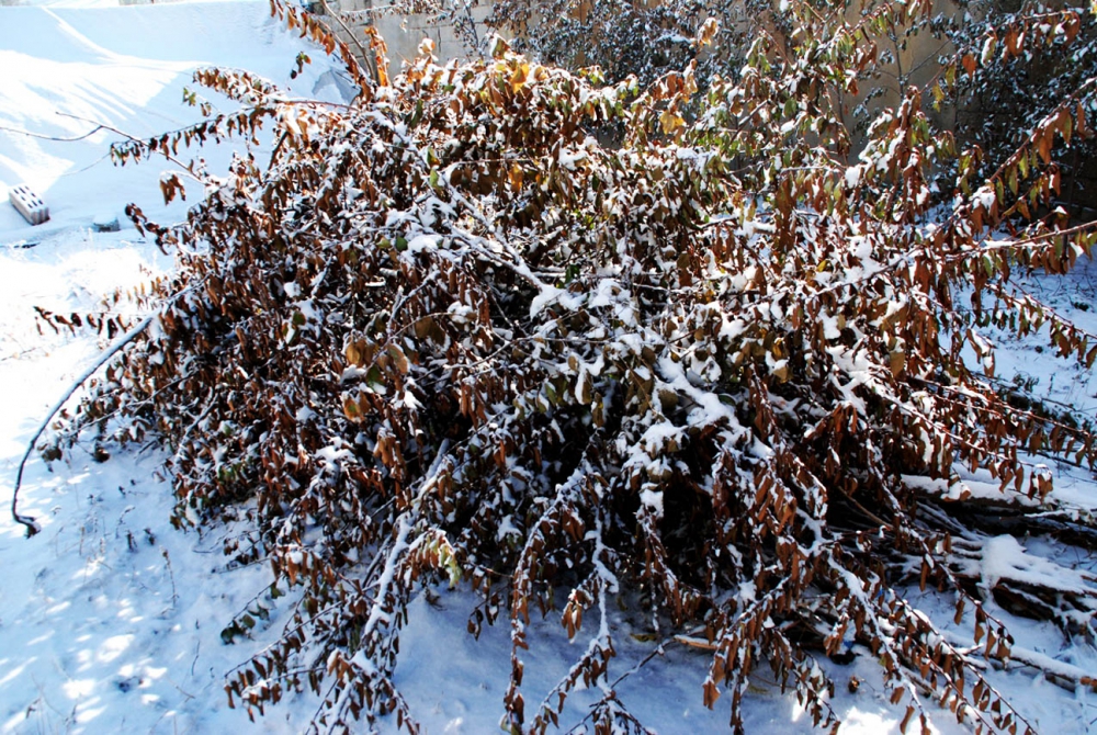 Ağrı Şehir Merkezi , Güzel Kış Resimleri 8