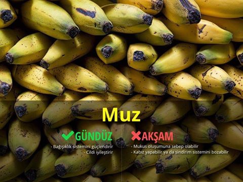 Besinler Hakkında Bilmediklerimiz 4