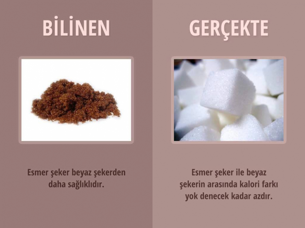 Hayata Dair Bilmediklerimiz 10