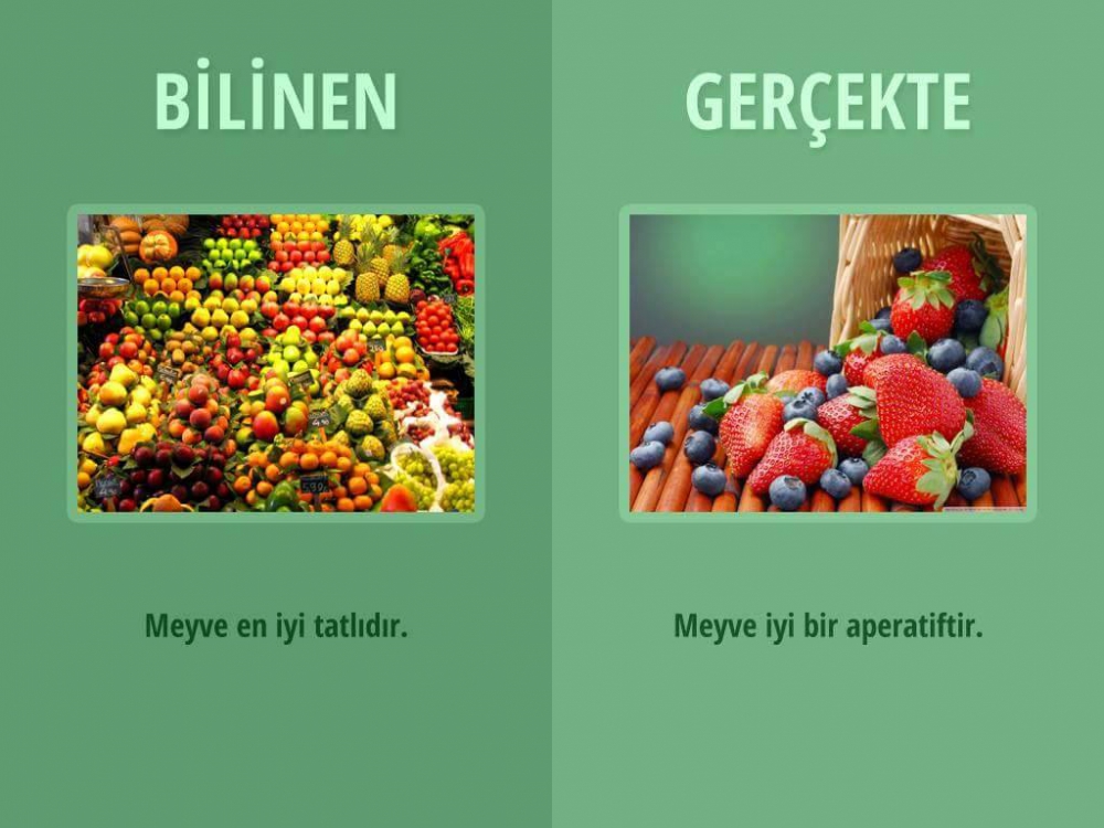 Hayata Dair Bilmediklerimiz 7