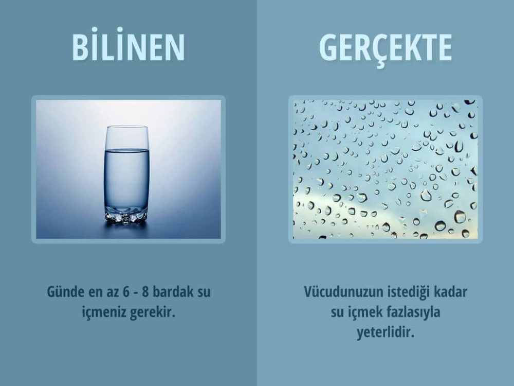 Hayata Dair Bilmediklerimiz 8