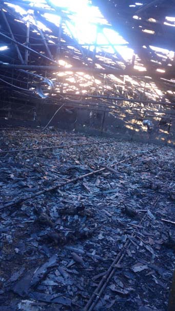 Kandıra'da 21 Bin Tavuk Kül Oldu 4