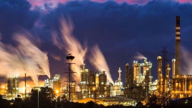 YILIN YABAN HAYATI FOTOĞRAFI ÖDÜLÜ 5