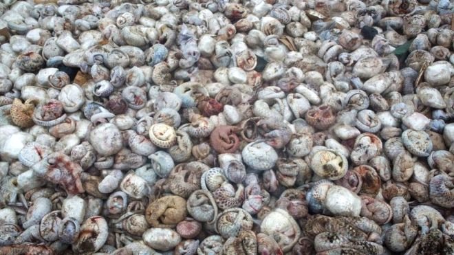 YILIN YABAN HAYATI FOTOĞRAFI ÖDÜLÜ 8