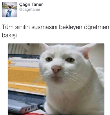 Çağrı Taner Kimdir? 21