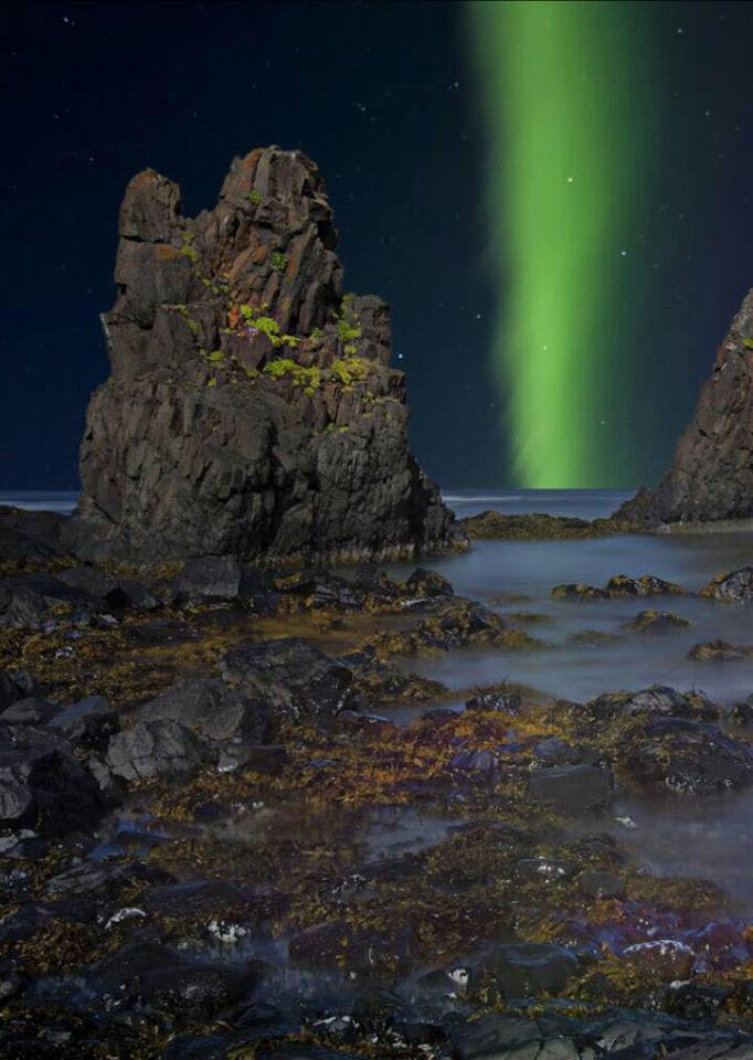 Google Wallpapers Tüm Android Kullanıcılarının Beğenisine sunuldu! 1