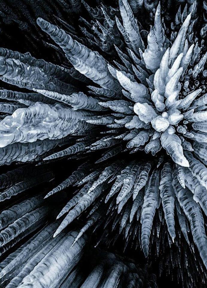 Google Wallpapers Tüm Android Kullanıcılarının Beğenisine sunuldu! 10