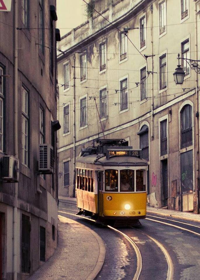 Google Wallpapers Tüm Android Kullanıcılarının Beğenisine sunuldu! 2