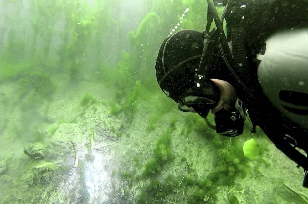Konya Ovası'nın kuraklıktan etkilenmeyen gölü koruma altına alındı 3