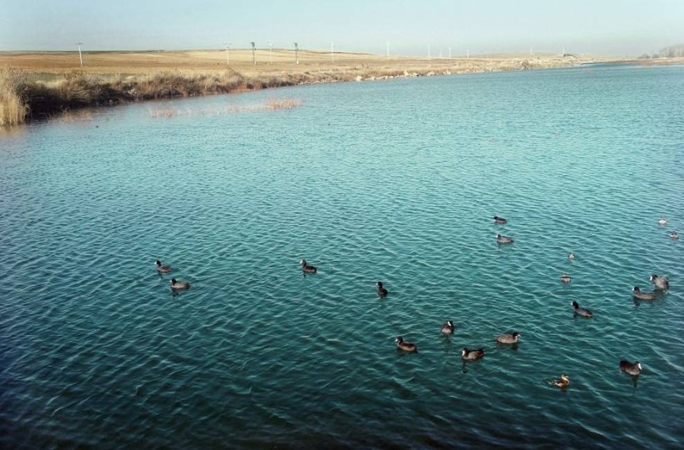 Konya Ovası'nın kuraklıktan etkilenmeyen gölü koruma altına alındı 4