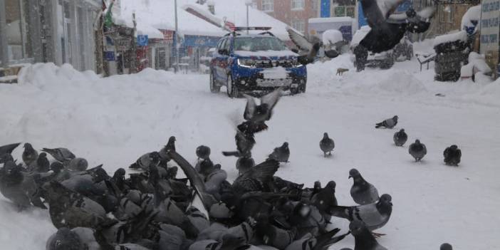 KONYA'NIN YÜKSEK KESİMLERİNDE KAR KALINLIĞI 2 METREYİ BULDU