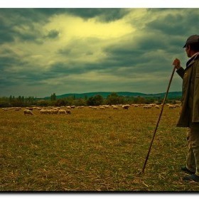 Görmemişin böylesi... 40 Yaşındaki çoban İlk Gece Gelinin Belini Kırdı! 3