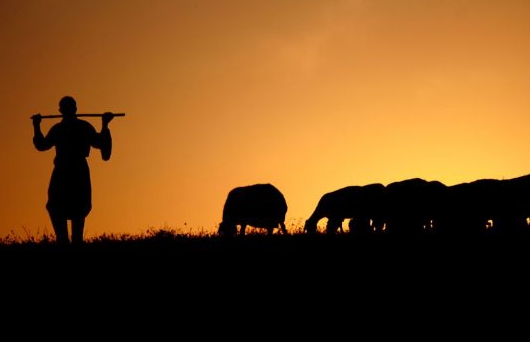 Görmemişin böylesi... 40 Yaşındaki çoban İlk Gece Gelinin Belini Kırdı! 5