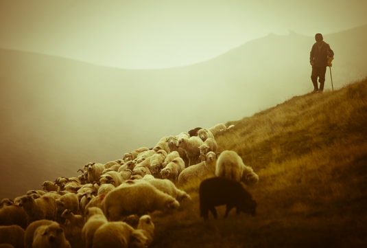 Görmemişin böylesi... 40 Yaşındaki çoban İlk Gece Gelinin Belini Kırdı! 6
