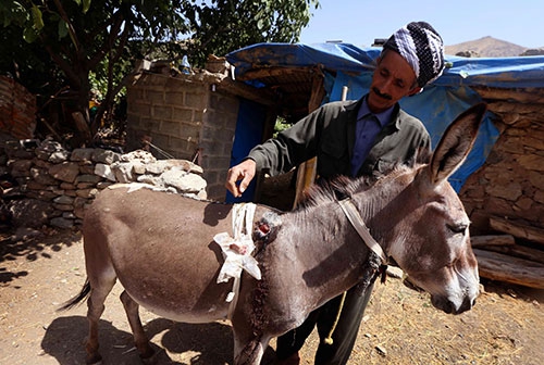 AFP BOMBALANAN KANDİLİN GÖRÜNTÜLERİNİ YAYINLADI 3