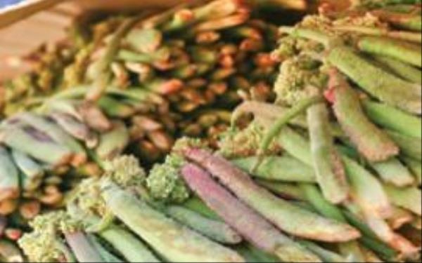 Kanseri İki Günde Bitiriyor ! Herkes Bu Sebzenin Peşinde 3