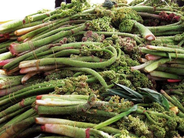 Kanseri İki Günde Bitiriyor ! Herkes Bu Sebzenin Peşinde 4