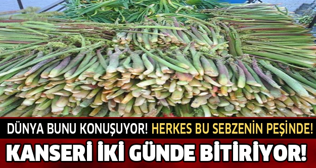 Kanseri İki Günde Bitiriyor ! Herkes Bu Sebzenin Peşinde 7