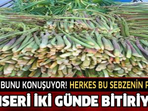 Kanseri İki Günde Bitiriyor ! Herkes Bu Sebzenin Peşinde
