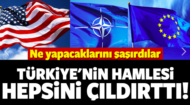 Türkiye'nin hamlesi hepsini çıldırttı