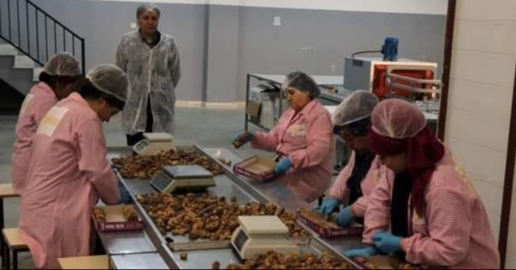 KADIN GİRİŞİMCİMİZ DEVLET DESTEĞİ İLE İNCİR İŞLEME TESİSİ KURDU ŞİMDİ İHRACAT YAPIYOR