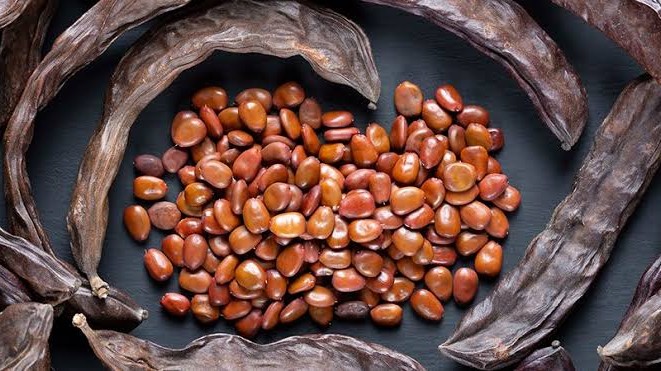 Keçiboynuzu: Doğanın Şifa Deposu ve Sağlıklı Atıştırmalık