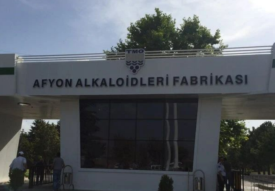 Küresel Sistemin "Aşil Topuğu": Afyon Alkaloidleri Fabrikası Dünyayı Nasıl Ayakta Tutuyor?