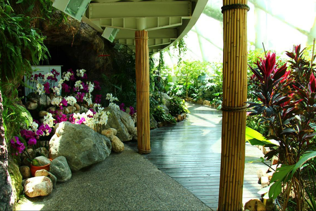 Konya Tropikal Kelebek Bahçesi Kapılarını Yeniden Açtı: Modernize Edilen Bahçe Ziyaretçilerini Bekliyor!