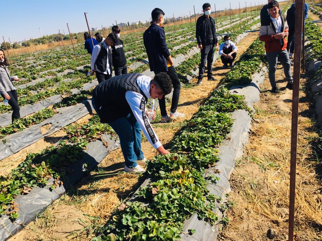 Dicle Üniversitesi’nden Bismil Ovası’na Bilimsel Tarım Desteği