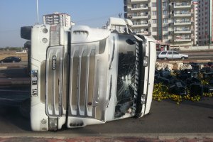 Şanlıurfa-Diyarbakır karayolunda meyve yüklü TIR'ın devrildi!