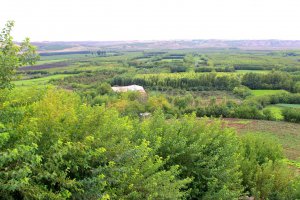 Diyarbakır’daki Hevsel Bahçeleri Sonbahar’da bir başka güzel