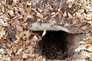 Bingöl’de PKK'ye yapılan arazi taramasında tespit edilen 5 sığınak imha edildi