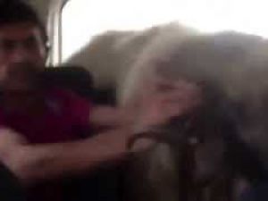 Batmanlı Konuşmasıyla Herkesi Gülme Krizine Soktu